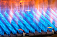 Watten gas fired boilers